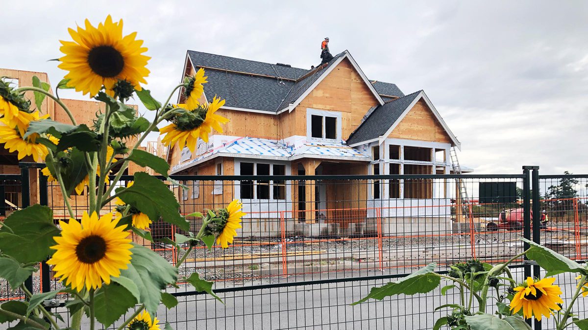Century Group Construction
